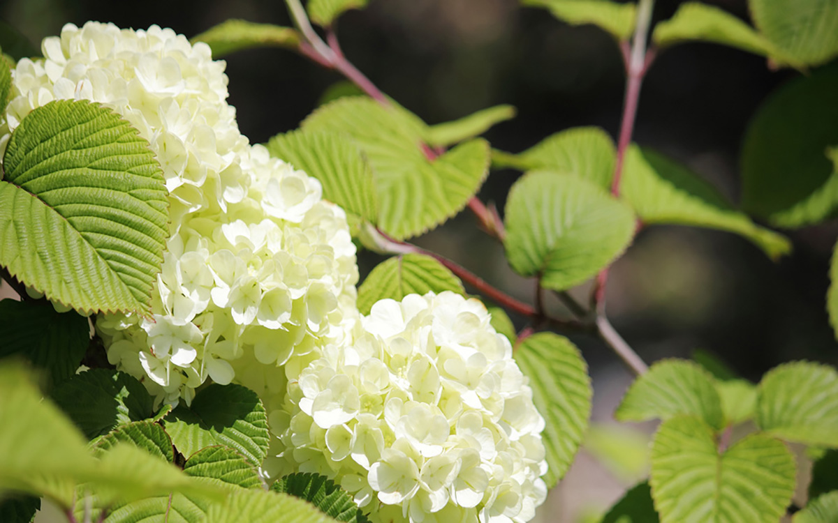 デザインも自由自在にカスタマイズ可能!